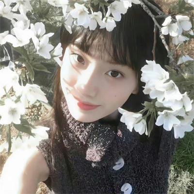 汉普斯特德公园国语封面